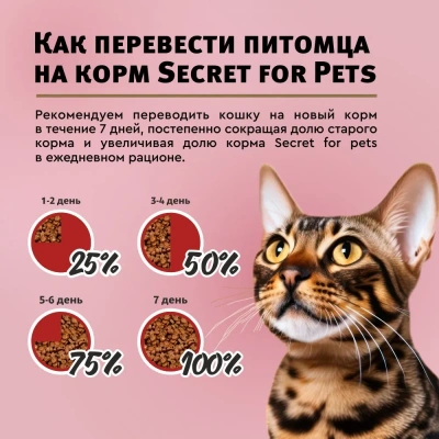 Секрет (Secret) Life Force 0,085кг курица в соусе пауч для кошек (22723) фото