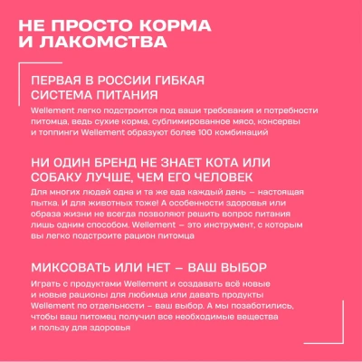 Wellement 0,8кг индейка и кролик сухой для собак мелких пород (003614) фото