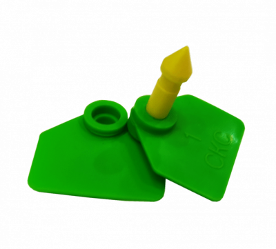 Бирка двойная M (малая) фото