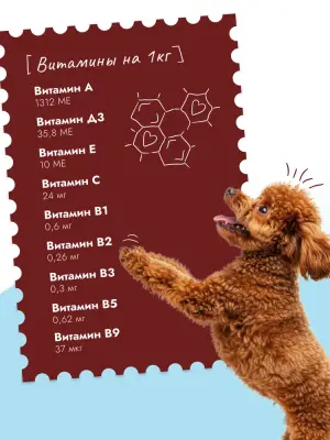 Best Dinner Vet Profi Hepatic 0,1кг курица консервы для собак (409396) фото