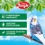 Happy Jungle 0,5кг корм для волнистых попугаев при линьке (14) фото Happy Jungle 0,5кг корм для волнистых попугаев при линьке (14) фото