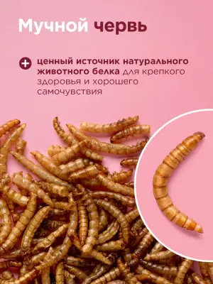 Little One 0,07кг Лакомство мучной червь для всеядных грызунов фото