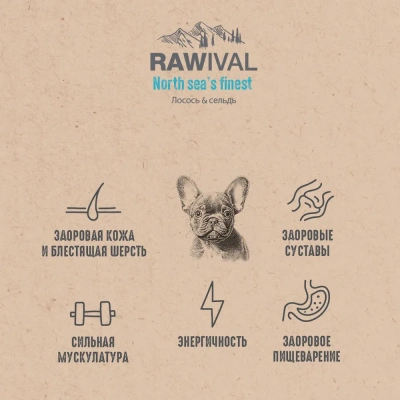 RAWIVAL North Sea’s Finest лосось и сельдь для щенков карликовых и маленьких пород, 0,75 кг фото