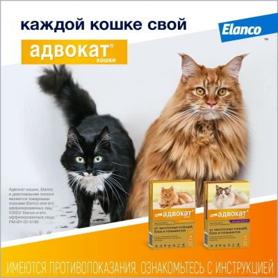 Адвокат капли (3пип х 0,4мл) от чесоточных клещей, блох и гельминтов для кошек  до 4кг (ЛИЦЕНЗИЯ) фото