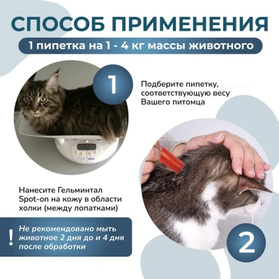 Гельминтал К Spot-on (3пип) капли на холку от блох, клещей и глистов для кошек и котят до 4кг (ЛИЦЕНЗИЯ) фото Гельминтал К Spot-on (3пип) капли на холку от блох, клещей и глистов для кошек и котят до 4кг (ЛИЦЕНЗИЯ) фото