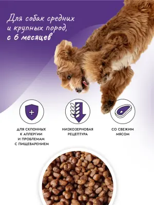 Best Dinner Dog Adult Holistic Sensible 3кг Medium/Maxi ягненок с базиликом сухой для собак (402854) фото