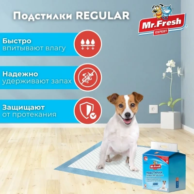 Пеленки (Mr.Fresh) Expert Regular для ежедневного применения (60*90) 16 шт фото Пеленки (Mr.Fresh) Expert Regular для ежедневного применения (60*90) 16 шт фото