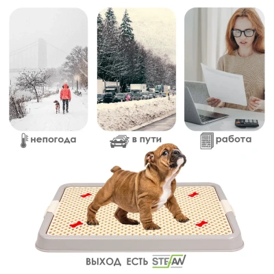 Туалет (Stefan) лоток с сеткой для собак малый S 50х38х3,5см, светло-коричневый BP1303N фото Туалет (Stefan) лоток с сеткой для собак малый S 50х38х3,5см, светло-коричневый BP1303N фото