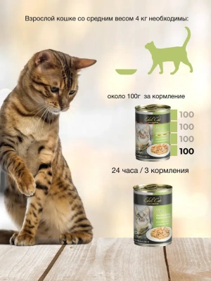 Edel Сat 0,4кг индейка, печень нежные кусочки в соусе для кошек (173039) фото