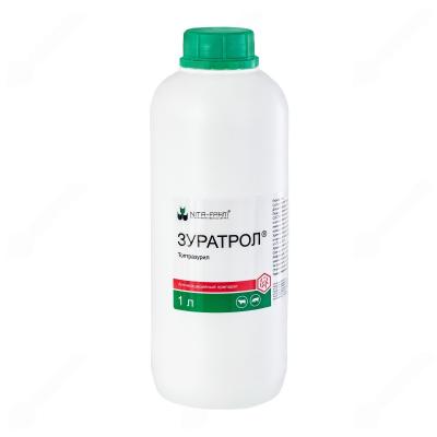 DeWatermark.ai_1761106970043 DeWatermark.ai_1761106970043