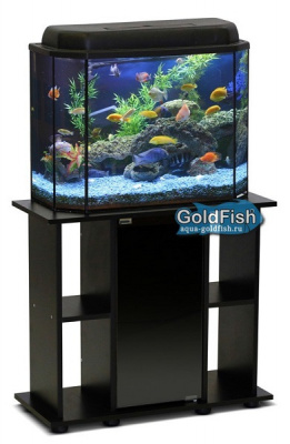 Аквариум (Голдфиш) 30л (45,5*20,5*36,2) панорама с черной крышкой и диодной лампой ПАН30F Е14 черный