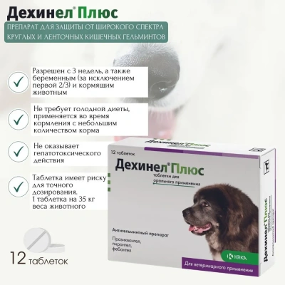 Дехинел Плюс (KRKA) антигельминтик, 2310мг 12таб., для собак крупных пород, 1таб./35кг (ЛИЦЕНЗИЯ) Дехинел Плюс (KRKA) антигельминтик, 2310мг 12таб., для собак крупных пород, 1таб./35кг (ЛИЦЕНЗИЯ) фото