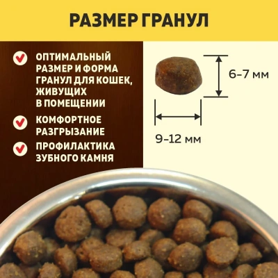 Brooksfield Adult Cat Indoor Turkey 6кг индейка/рис сухой для кошек живущих в помещении (354622) NEW фото