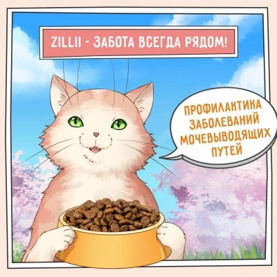 ZILLII (Зилли) Cat Urinary Care 2кг индейка сухой для домашних кошек (352222) фото ZILLII (Зилли) Cat Urinary Care 2кг индейка сухой для домашних кошек (352222) фото