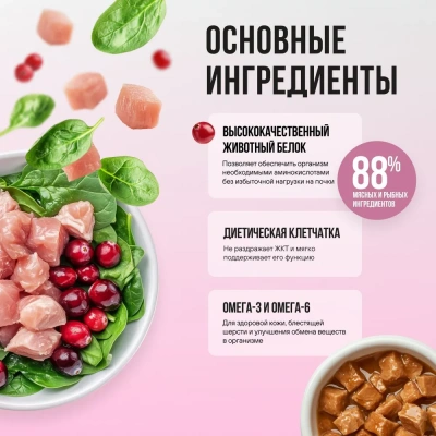 Bowl Wow 0,085г индейка и шпинат в соусе для здоровья кожи и шерсти для кошек (662815) фото