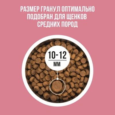 Bowl Wow 5кг индейка, ягненок с рисом и брусникой сухой для щенков средних пород (660644) фото
