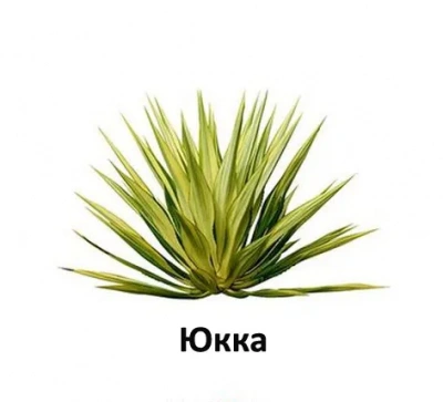  Alleva Holistic Puppy 2кг океаническая рыба, конопля, алое, сухой корм для щенков крупных пород (Р00228) фото