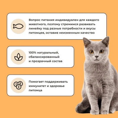 Bowl Wow 1,5кг с индейкой и тыквой сухой для кошек с чувствительным пищеварением (660187) фото