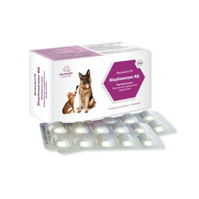 Марбовитрил ФД  5мг, упак. 20 табл. (ЛИЦЕНЗИЯ) фото