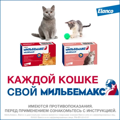 Мильбемакс (Elanco) 2таб. антигельминтик для котят и кошек до 2кг, 1таб./1-2кг. (ЛИЦЕНЗИЯ) фото