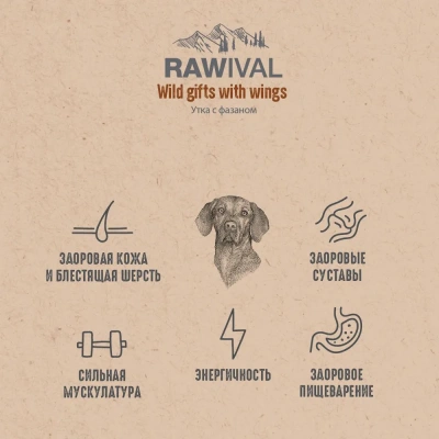 RAWIVAL Wild Gifts with Wings утка с фазаном для взрослых собак средних и крупных пород, 10 кг фото