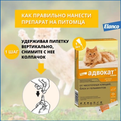 Адвокат капли (1пип) для кошек до 4кг от чесоточных клещей, блох и гельминтов (ЛИЦЕНЗИЯ) фото Адвокат капли (1пип) для кошек до 4кг от чесоточных клещей, блох и гельминтов (ЛИЦЕНЗИЯ) фото