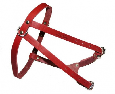 Шлейка (Аркон) красная (пекинес, болонка) 