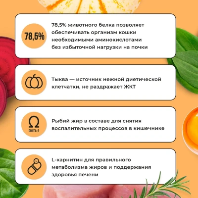 Bowl Wow 8кг с индейкой и тыквой сухой для кошек с чувствительным пищеварением (661337) фото