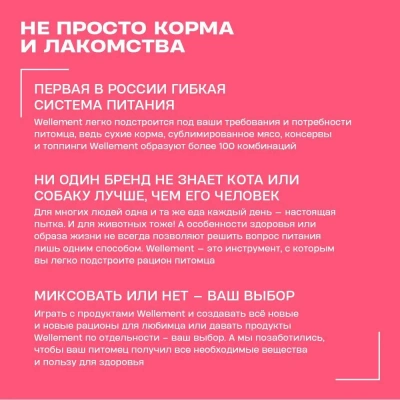 Wellement 10кг индейка сухой для щенков средних и крупных пород (003799) фото Wellement 10кг индейка сухой для щенков средних и крупных пород (003799) фото