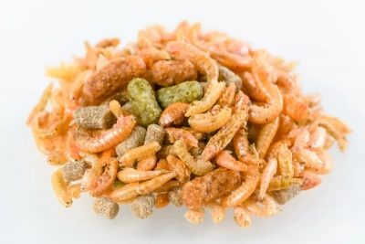 Зоомир 0,25л / 0,045кг Торти корм для черепах (банка) (431) фото