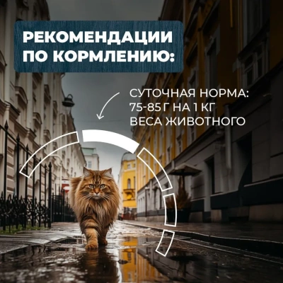 Родные корма 0,41кг с говядиной и морковкой кусочки в соусе по-ленинградски консервы для кошек (831380) NEW фото