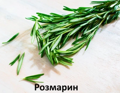  Alleva Holistic Puppy 2кг океаническая рыба, конопля, алое, сухой корм для щенков крупных пород (Р00228) фото