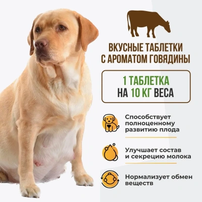 Unitabs 100таб./0,15кг витаминно-минеральная добавка MamaCare для беременных и кормящих собак фото Unitabs 100таб./0,15кг витаминно-минеральная добавка MamaCare для беременных и кормящих собак фото