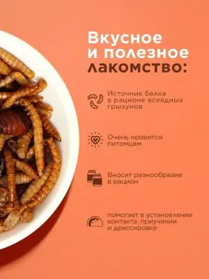 Little One 0,075кг Лакомство смесь насекомых для всеядных грызунов фото