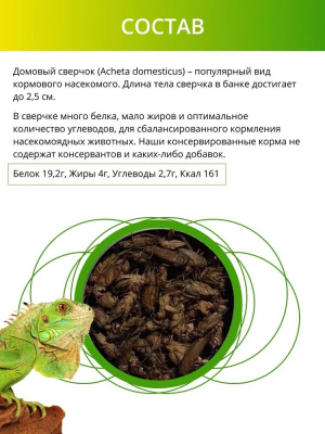 Онто (Onto) 0,04кг Сверчок консервированный фото Онто (Onto) 0,04кг Сверчок консервированный фото
