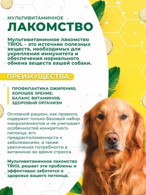 Triol 0,033кг лакомство мультивитаминное  Активная жизнь для собак фото