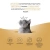 Best Dinner Cat Super Premium 0,1кг говядина паштет для стерилизованных кошек (404612) фото Best Dinner Cat Super Premium 0,1кг говядина паштет для стерилизованных кошек (404612) фото