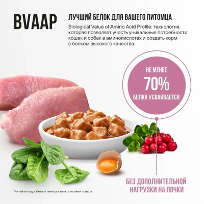 Bowl Wow 0,085г индейка и шпинат в соусе для здоровья кожи и шерсти для кошек (662815) фото