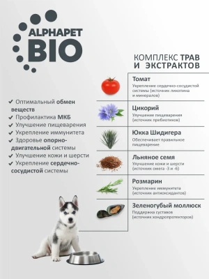 AlphaPet Superpremium (АльфаПет) 3кг с говядиной и рисом сухой для юниоров крупных пород с 6 мес. до 1,5 лет (651492) фото AlphaPet Superpremium (АльфаПет) 3кг с говядиной и рисом сухой для юниоров крупных пород с 6 мес. до 1,5 лет (651492) фото