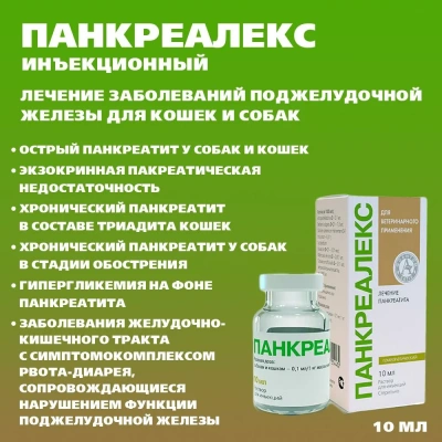 Панкреалекс (Хелвет) 10мл (ЛИЦЕНЗИЯ) фото Панкреалекс (Хелвет) 10мл (ЛИЦЕНЗИЯ) фото
