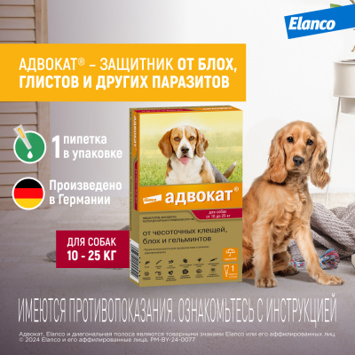 Адвокат капли (1пип) от чесоточных клещей, блох и гельминтов для собак 10-25кг (ЛИЦЕНЗИЯ) Адвокат капли (1пип) от чесоточных клещей, блох и гельминтов для собак 10-25кг (ЛИЦЕНЗИЯ)