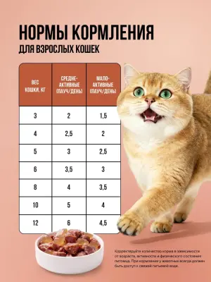 Bowl Wow 0,085кг ягненок и шпинат в кусочки в желе для кошек с чувствительным пищеварением (665151) фото