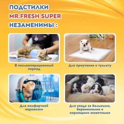 Пеленки (Mr.Fresh) Expert Super для ежедневного применения (90*60) 6шт фото Пеленки (Mr.Fresh) Expert Super для ежедневного применения (90*60) 6шт фото