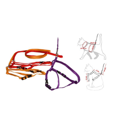 4640004828161.jpg 4640004828161.jpg