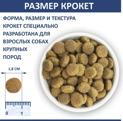 Родные корма 16,38кг (1 пуд) корм для взрослых собак крупных пород (534979) фото