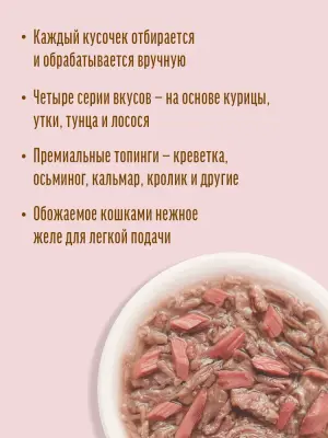 Деревенские лакомства Домашние обеды 0,07кг Утка с тунцом в нежном желе пауч для кошек (79218893) New фото