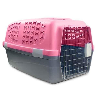 4620003782862.jpg 4620003782862.jpg