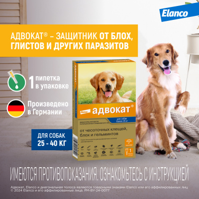 Адвокат капли (1пип) для собак более 25кг от чесот.клещей, блох и гельминтов (ЛИЦЕНЗИЯ) Адвокат капли (1пип) для собак более 25кг от чесот.клещей, блох и гельминтов (ЛИЦЕНЗИЯ) фото