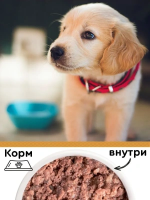 Четвероногий гурман 0,1кг Мясное ассорти с говядиной консервы для щенков фото Четвероногий гурман 0,1кг Мясное ассорти с говядиной консервы для щенков фото