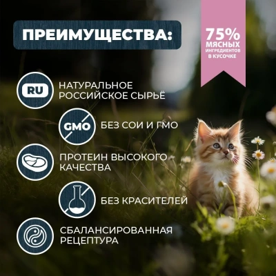 Родные корма 0,085кг с курочкой и потрошками в соусе по-ростовски для котят (831137) NEW фото